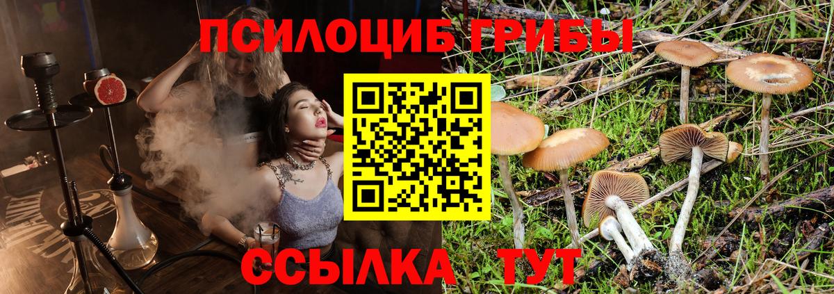 Псилоцибиновые грибы GOLDEN TEACHER Берёзовский