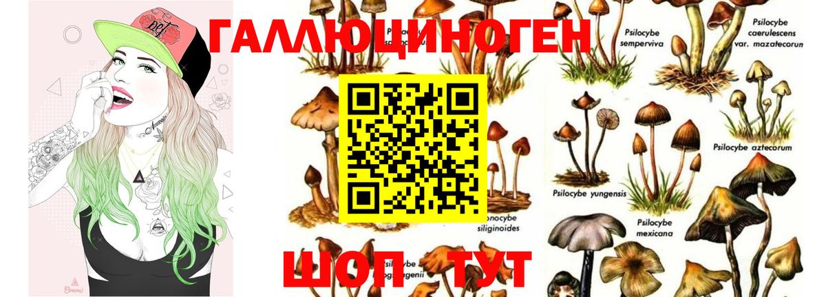 Псилоцибиновые грибы ЛСД  Вход с VPN  Берёзовский  Псилоцибиновые грибы MAGIC MUSHROOMS 